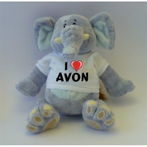 avon.slon