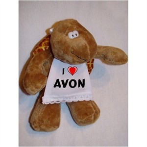 avon.turtle